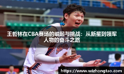 王哲林在CBA赛场的崛起与挑战：从新星到领军人物的奋斗之路